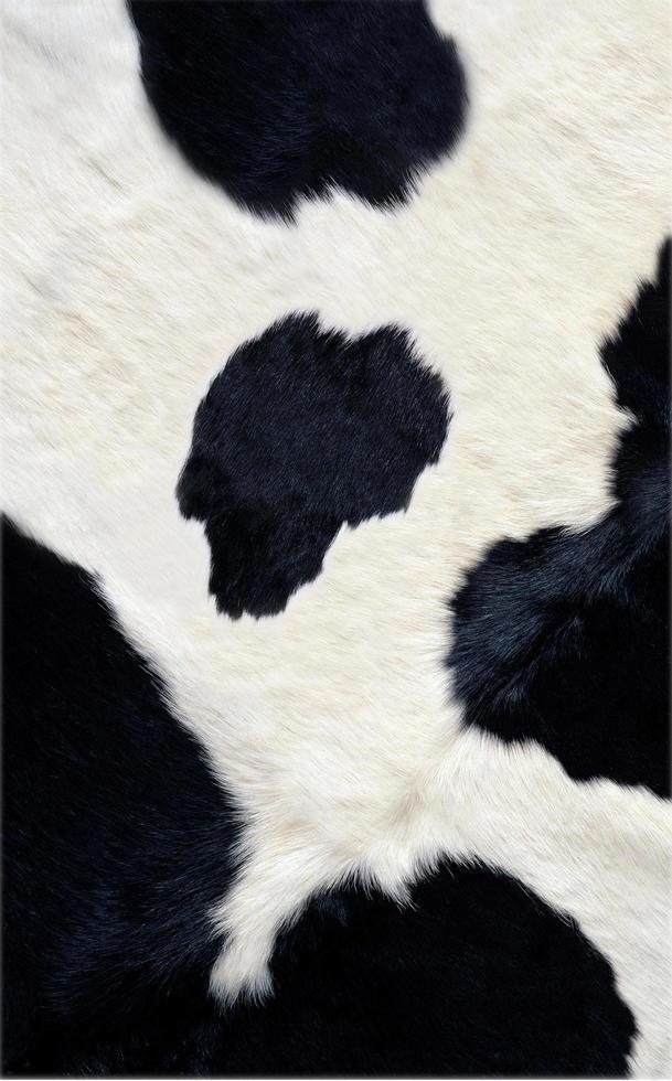cow-skin-texture-free-photo